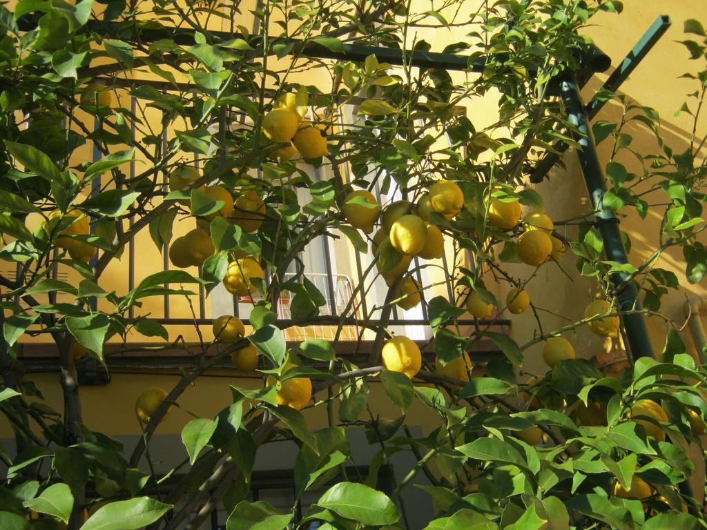 Holiday Home Il Borgo Degli Agrumi Uzzano Kültér fotó