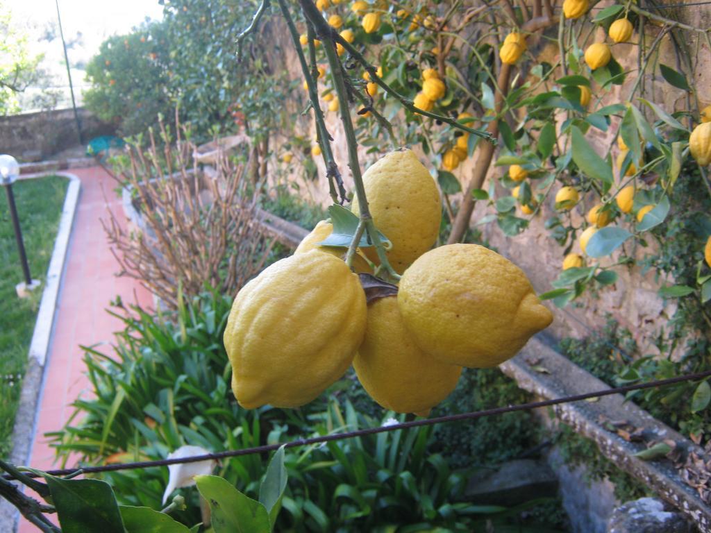Holiday Home Il Borgo Degli Agrumi Uzzano Kültér fotó